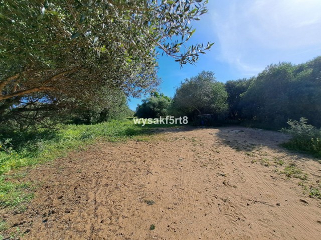  Terreno en San Roque