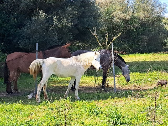  Terreno en San Roque