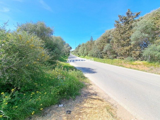  Terreno en San Roque