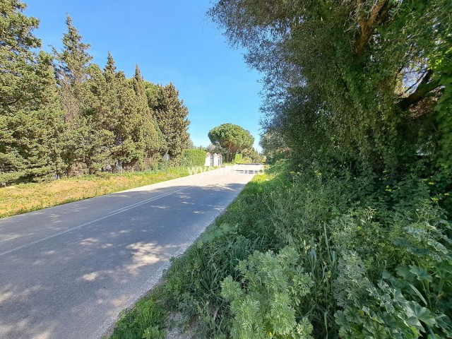  Terreno en San Roque