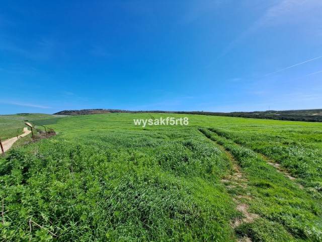  Terreno en San Roque