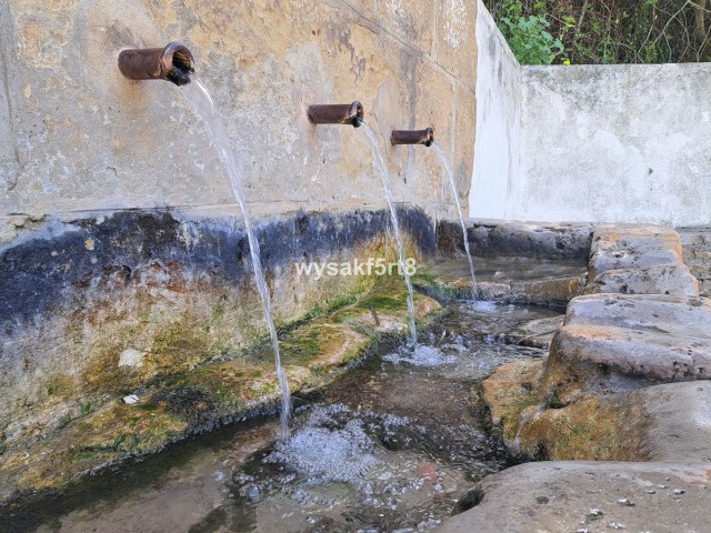  Terreno en San Roque