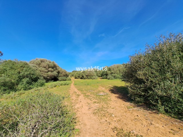 Plot, San Roque, R3804994