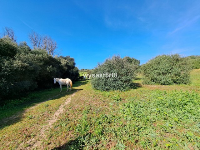  Grundstück in San Roque