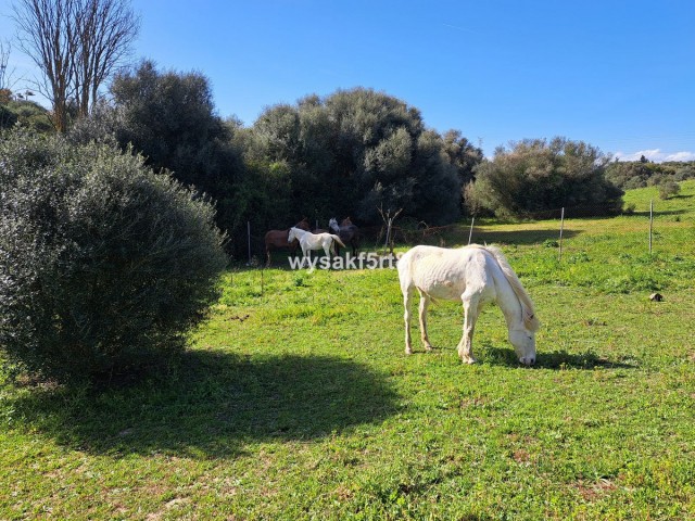  Grundstück in San Roque