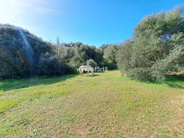  Grundstück in San Roque