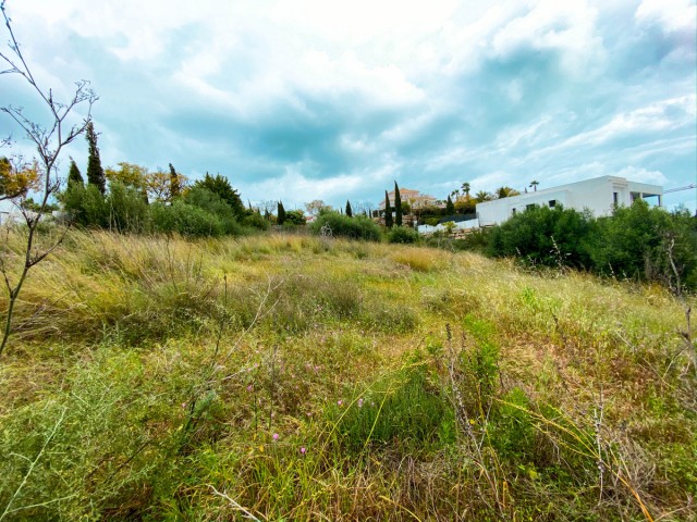  Plot in Los Flamingos