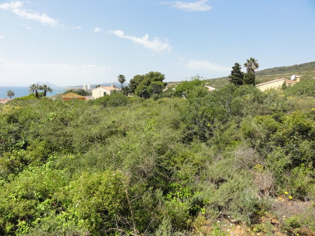  Grundstück in San Diego