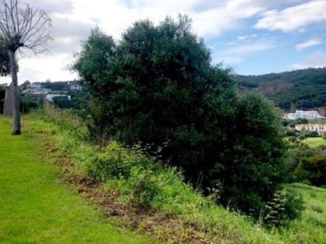  Plot in Sotogrande