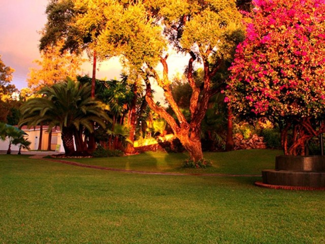 Villa con 6 Dormitorios  en Elviria