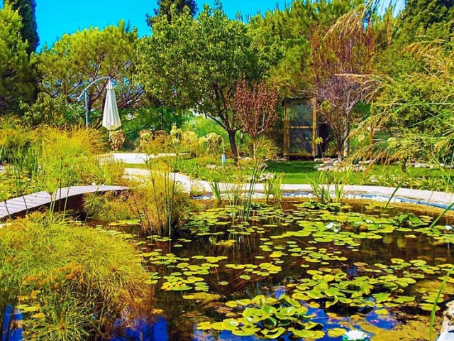 Villa con 6 Dormitorios  en Elviria