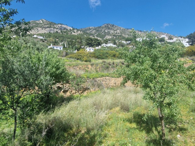  Tomt i Mijas