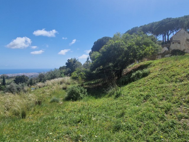  Parcelle à Mijas