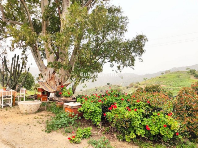  Plot in Málaga