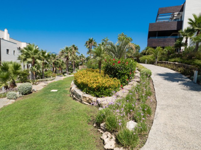 Apartamento con 2 Dormitorios  en Los Flamingos