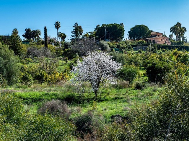  Grundstück in New Golden Mile