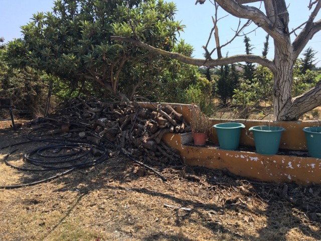  Parcelle à Cancelada