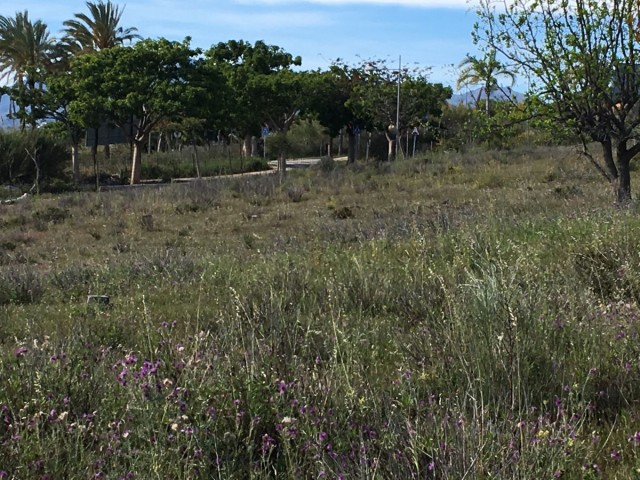  Parcelle à Cancelada