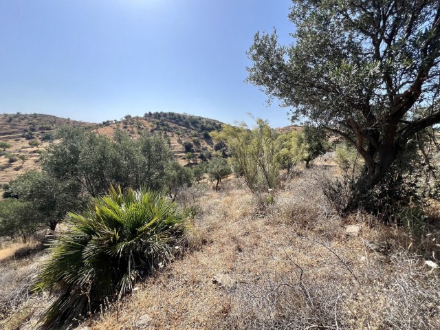 Terreno, La Cala, R4762198