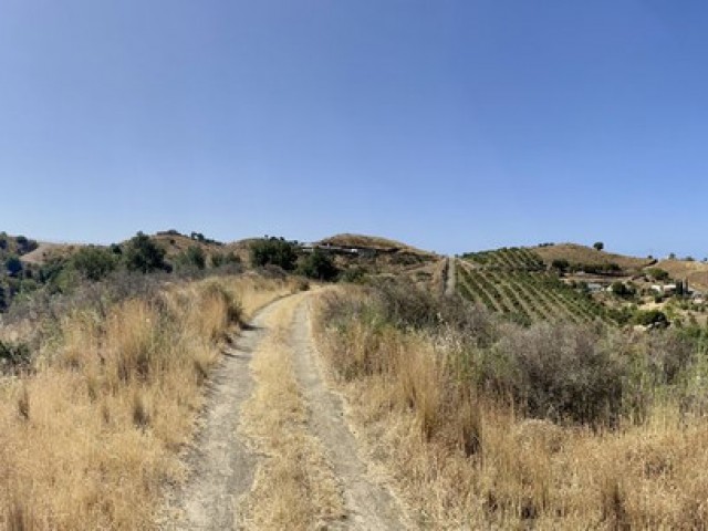  Parcelle à La Cala