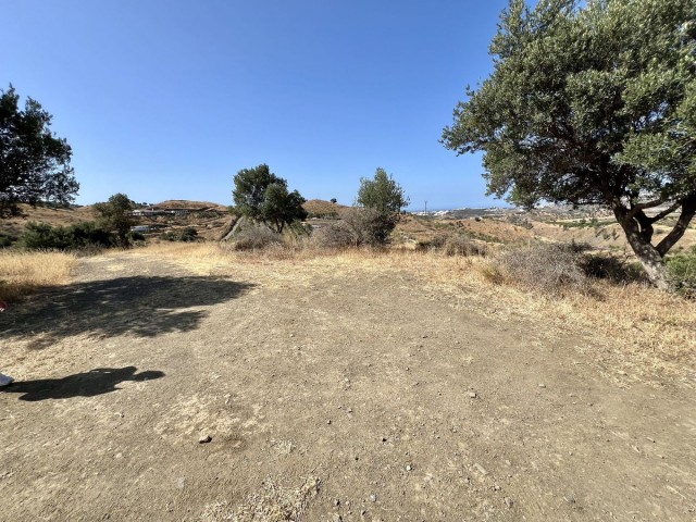  Parcelle à La Cala