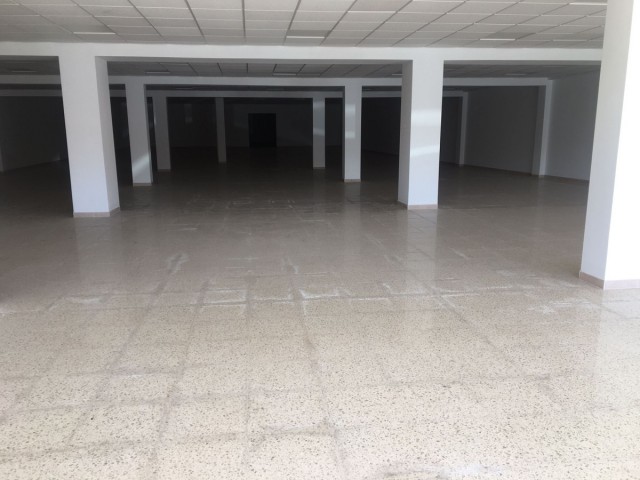 Commercial in San Roque