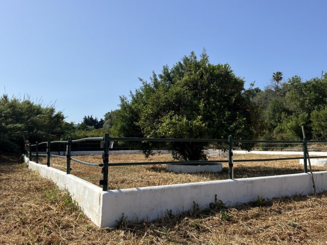 3 Sovrums Villa i La Duquesa