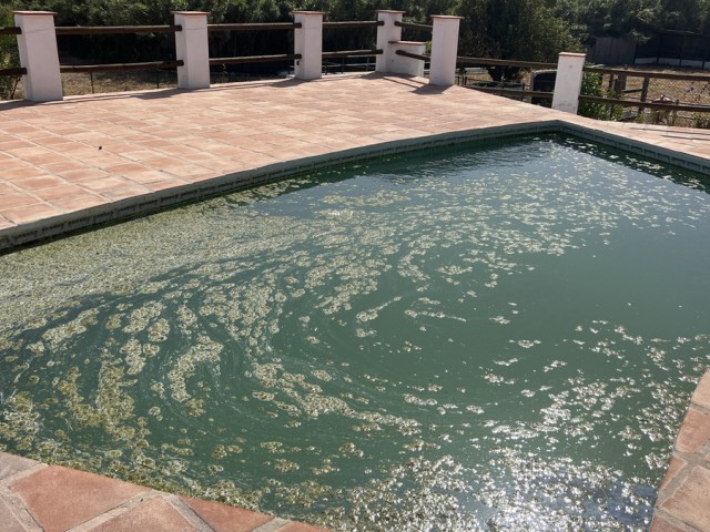 3 Sovrums Villa i La Duquesa