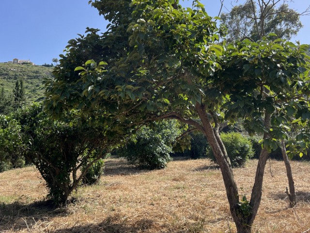 3 Makuuhuoneen Huvila La Duquesa