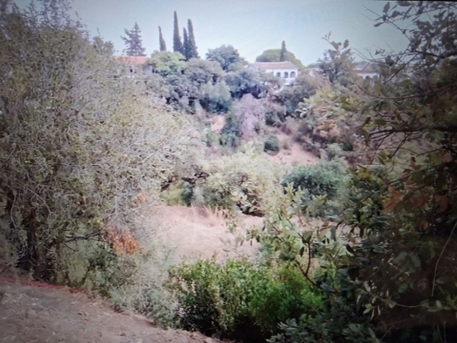  Tomt i Elviria