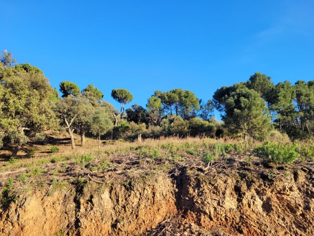  Terreno en La Zagaleta