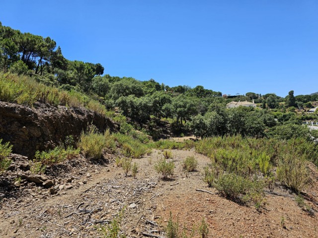  Terreno en La Zagaleta
