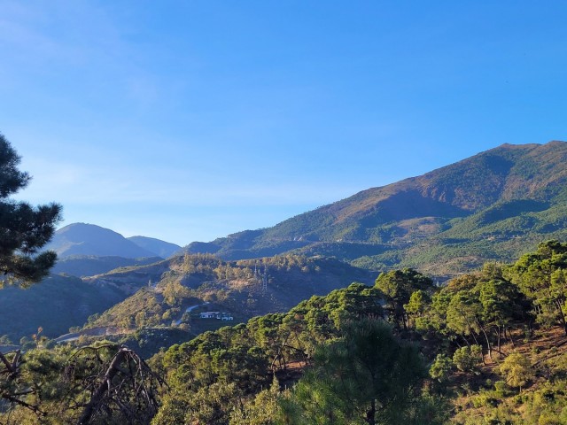 Plot, La Zagaleta, R4570105