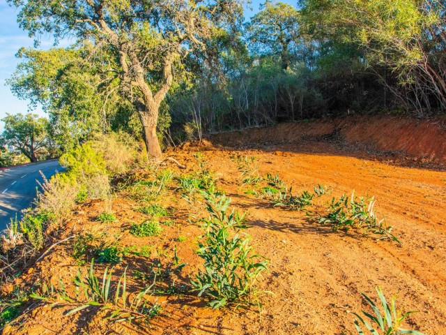 4 Bedrooms Villa in La Mairena