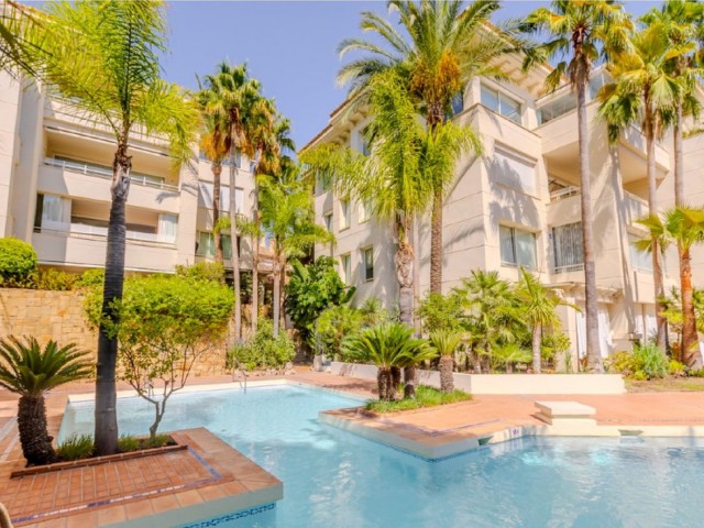 Penthouse avec 3 Chambres  à The Golden Mile