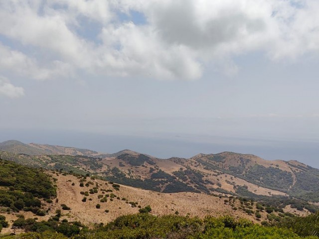  Plot in Benahavís