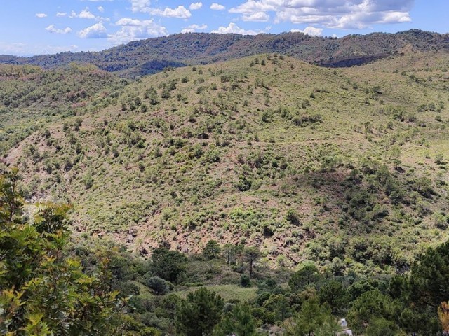  Plot in Benahavís