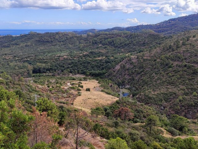  Plot in Benahavís