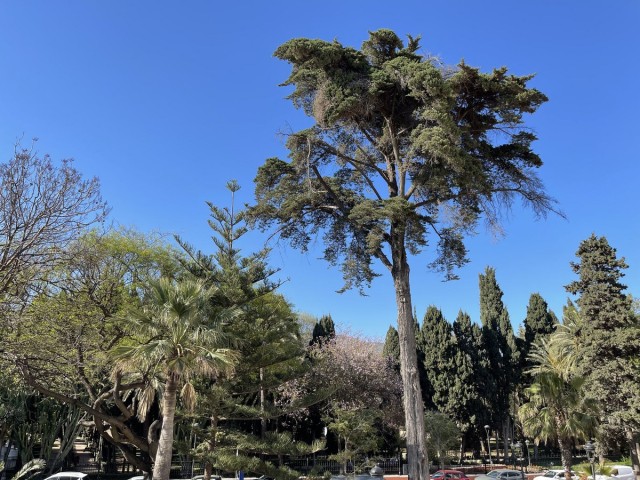 Penthouse in Marbella