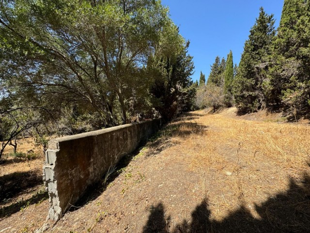 Grundstück, San Roque, R4821094