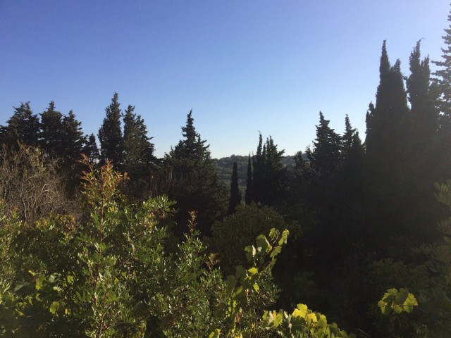  Terreno en San Roque