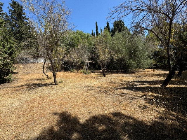  Terreno en San Roque