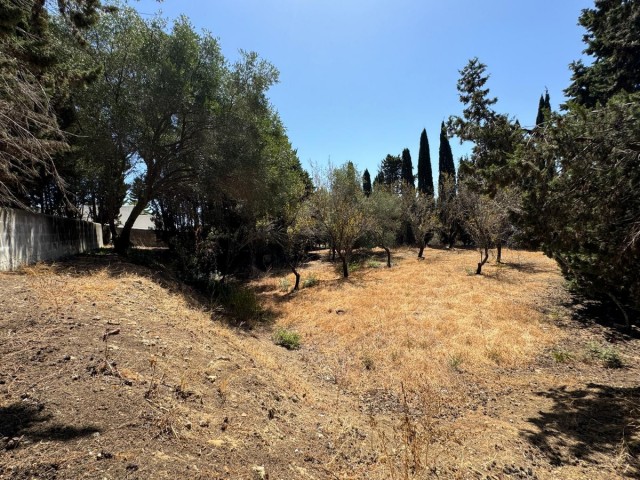  Terreno en San Roque