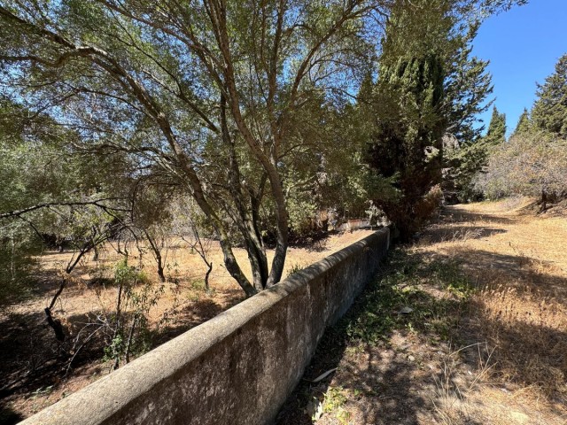  Terreno en San Roque