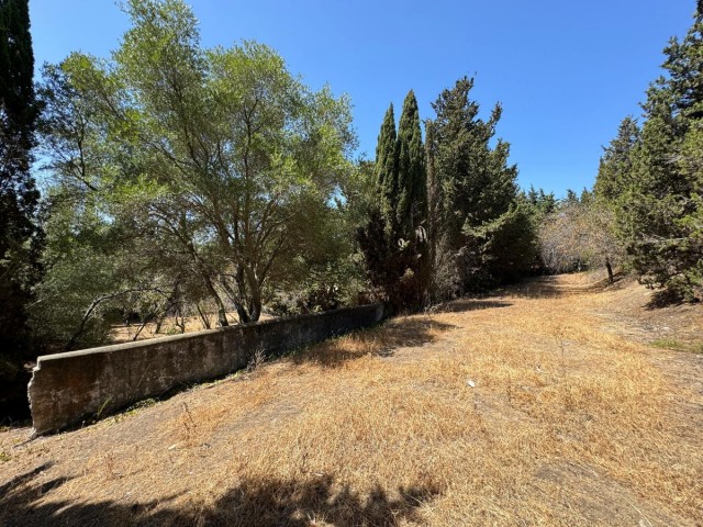  Terreno en San Roque