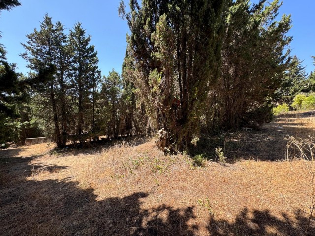  Terreno en San Roque