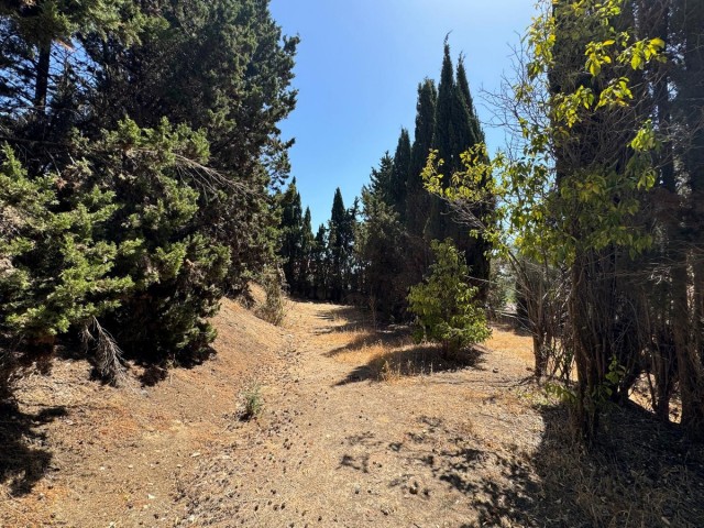  Terreno en San Roque