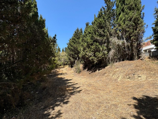  Terreno en San Roque