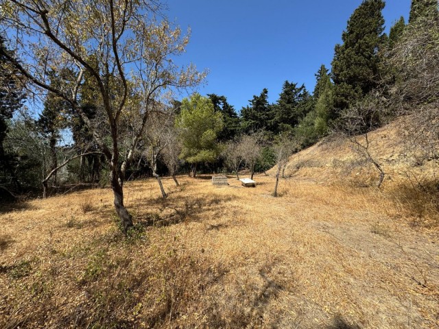  Terreno en San Roque