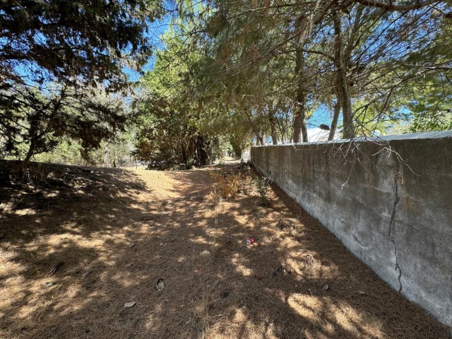  Terreno en San Roque